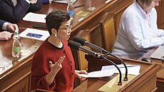 �éfka poslanc� Pirát� Olga Richterová p�ed hlasováním o d�v��e vlád� (13. ledna...
