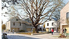 �estihektarová plocha mezi zámkem a �elezni�ní tratí v Bu�ovicích na Vy�kovsku...