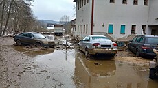 Do �eky Dyje se u Podmy� na Znojemsku dostala kejda z protr�ené jímky. Proud...