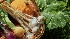 Prima TV, Zahradnice po ruce, sob�sta�nost, 10 ned�le�it�j�ích plodin