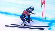 Ameri�anka Lindsey Vonnová b�hem sjezdu v Tarvisiu