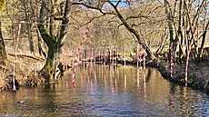 Provazo-fáborkové zábrany k omezení preda�ního tlaku kormorán� instalované na...