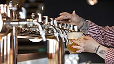 Základem nabídky oblíbené pivnice je �pi�kov� o�et�ené pivo, které je Na...