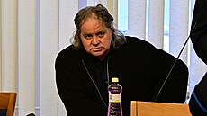Ob�alovaný Milan Marko u Krajského soudu v Brn�, který za�al projednávat p�ípad...