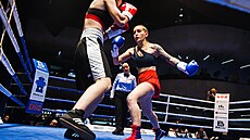 Galave�er Tohle je box, poslední profesionální zápas mistryn� sv�ta organizace...