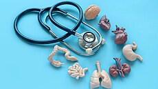 Ilustra�ní fotografie