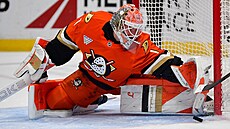 Luká� Dostál v brán� Anaheim Ducks
