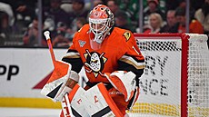 Luká� Dostál v brán� Anaheim Ducks