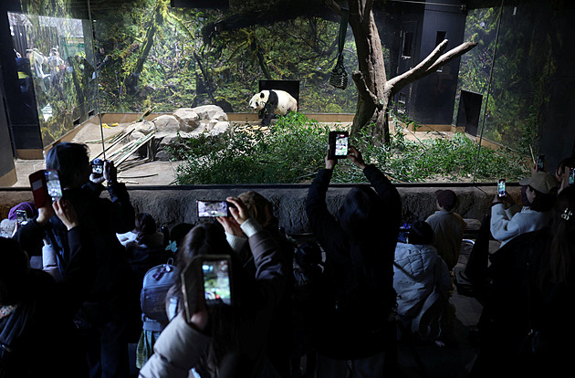 Japonské zoo čelí krizi. Docházejí peníze, personál, návštěvníci a dokonce i zvířata