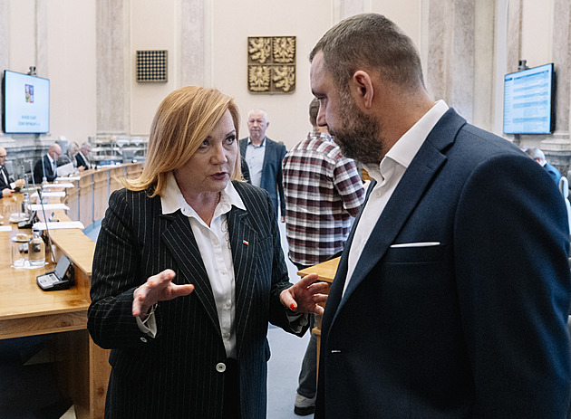 Lidé věří rádi tomu, co si přejí, aby byla pravda. Stejně jako Babiš Schillerové a jejímu rozpočtu