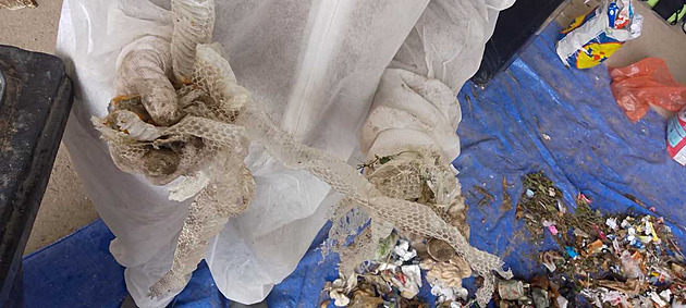 Třídění odpadu se zhoršilo. V běžných popelnicích končí zbytky z kuchyně