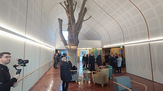 Domov seniorů ukazuje budoucnost s důrazem na soukromí. Stavbu podpírá strom