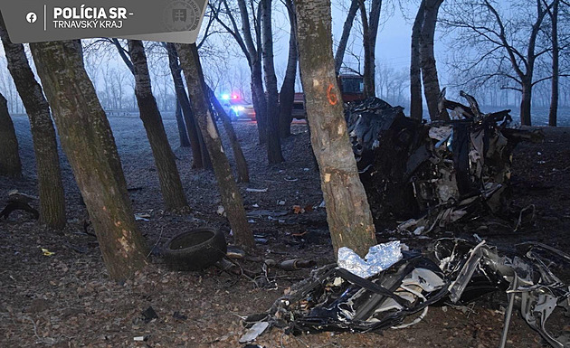 Ve 31 letech zemřela bývalá partnerka MMA zápasníka Borárose. Zůstala po ní dcera