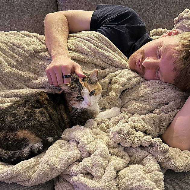 Vedle Šulce boduje i Franta. Kočka českého záložníka si získala srdce fanoušků