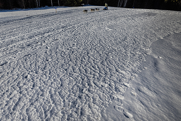 OBRAZEM: Závodnické ego jde stranou, Šediváčkův long se letos jede na ledu
