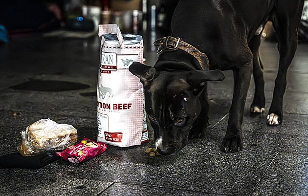 Noclehárna není pro každého. Jak lidé na ulici přečkávají mrazivé noci