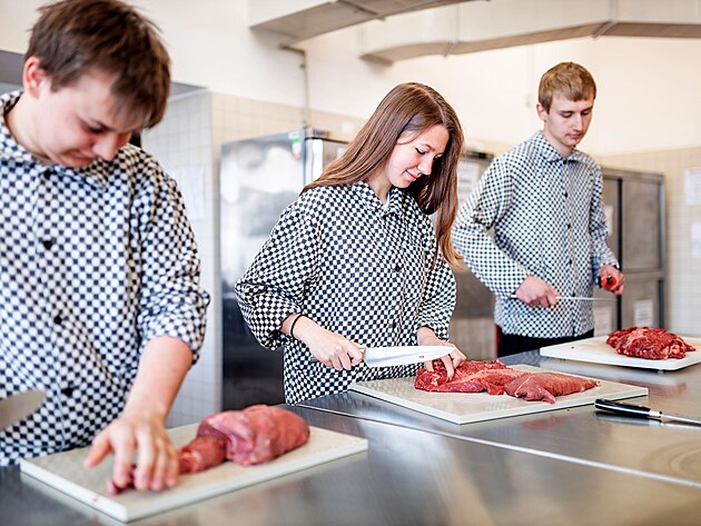 St�edn� �kola obchodu, slu�eb a �emesel T�bor zve na prohl�dky