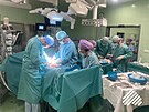 Léka�i z brn�nského Centra kardiovaskulární a transplanta�ní chirurgie odebrali...