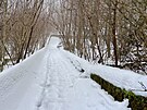 S��ka�sk� dr�ha na Jezern�m vrchu v Kl�terci nad Oh�� (leden 2026)