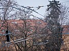 Novodobá pra�ská trolejbusová sí� se ji� brzy rozroste o dal�í tra�.