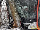 V Plzni v ulici Na Roudn� havaroval autobus, narazil do stromu. Zranila se...