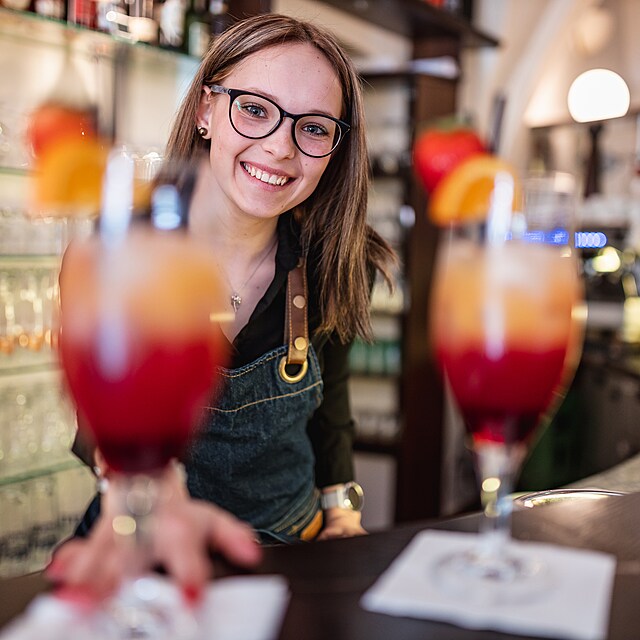 St�edn� �kola obchodu, slu�eb a �emesel T�bor zve na prohl�dky