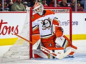 Luká� Dostál z Anaheim Ducks b�hem utkání s Calgary Flames.