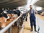 ilustra�ní snímek