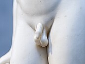 Evolu�ní záhada, mínila o penisu v�da.