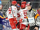 T�ine�tí hokejisté se radují z gólu v utkání proti �eským Bud�jovicím.