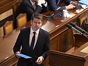 Mimo�ádná sch�ze Poslanecké sn�movny. Na snímku Jan Skope�ek (ODS). (29. ledna...