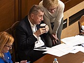 Mimo�ádná sch�ze Poslanecké sn�movny. Na snímku Andrej Babi� a Karel Havlí�ek...