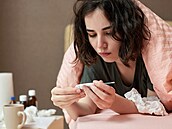 Ch�ipka - ilustra�ní snímek