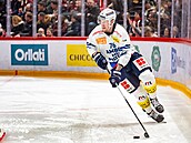 Slovenský obránce Michal �ajkovský vyvá�í puk zpoza branky.