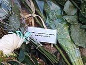 Václavské nám�stí