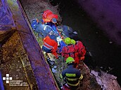 Policisté na vlastní nebezpe�í vstoupili do ledové �eky, aby zachránili mladý...