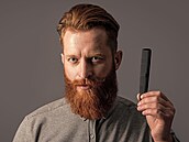 h�eben, �istota, �i�t�ní, mu� s h�ebenem