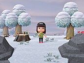 Animal Crossing: New Horizons Nintendo Switch 2 Edition