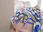 Ilustra�ní fotografie