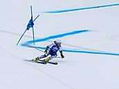 �eská ly�a�ka Tereza Koutná ve �pindlerov� Mlýn� (24. ledna 2026)