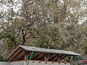 Objekt p�vodn� slou�il jako kurník.