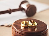 ilustra�ní snímek