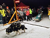 Start závodu �edivá�k�v long, kategorie na 300 kilometr� (20. ledna 2026)