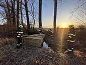 Hasi�i zasahují u uniklého digestátu z bioplynové stanice v Dobru�ce. (21....