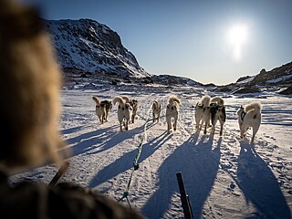 Diplomacie psích sp�e�ení. Zru�ení pozvánky pro USA ukazuje na limity m�kké...