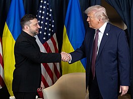 Volodymyr Zelenskyj a Donald Trump v Davosu (22. ledna 2026)