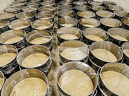 Ve speciální místnosti kyne t�sto pro Medovníky. (20. listopadu 2025)