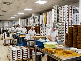 Práce v Medovníku není �ádný med. Zam�stnanci jsou placení od kus�. (20....