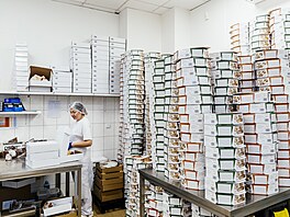 Výroba Medovníku. Provozem a technologii p�edvedl �editel firmy Ji�í �erný.