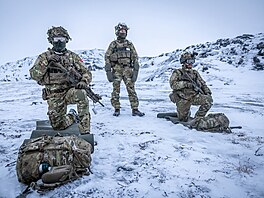 Vojáci dánské armády se po svém p�íjezdu do Grónska ú�astní výcviku. (18. ledna...